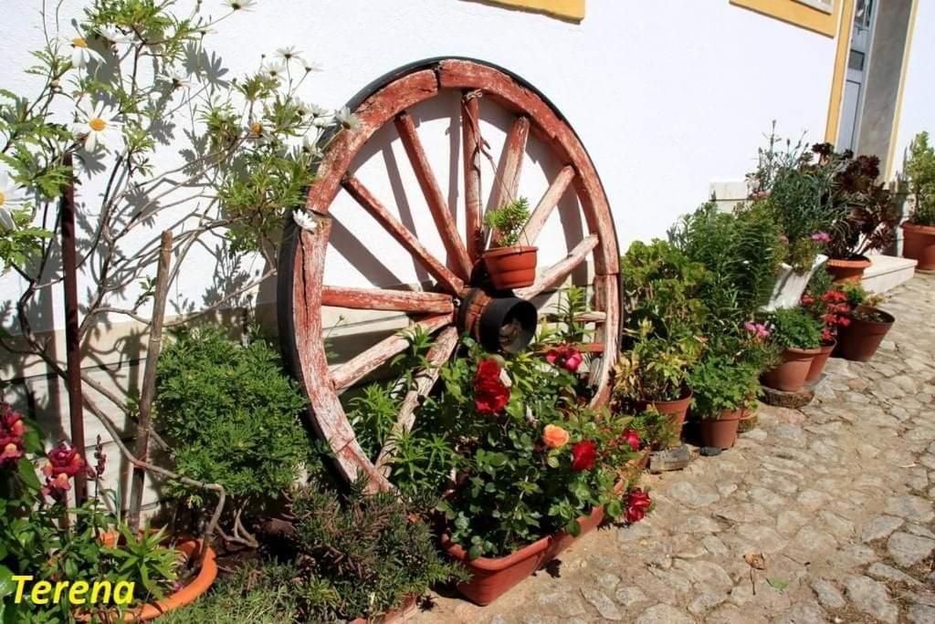 A Casa Do Mestre Lau - No Coracao Do Alentejo Terena Exterior photo